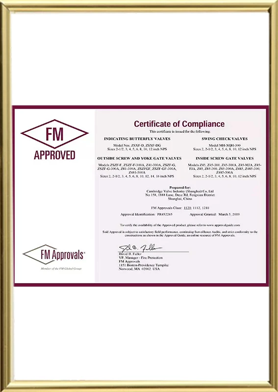 International Fire Protection FM Certification