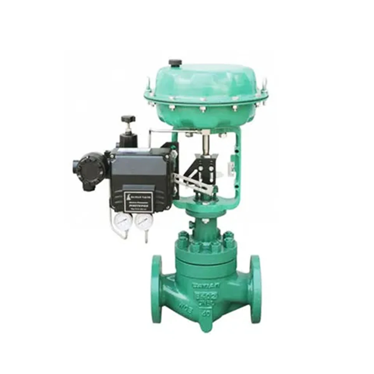 Single-Seat Pneumatic Control Valve