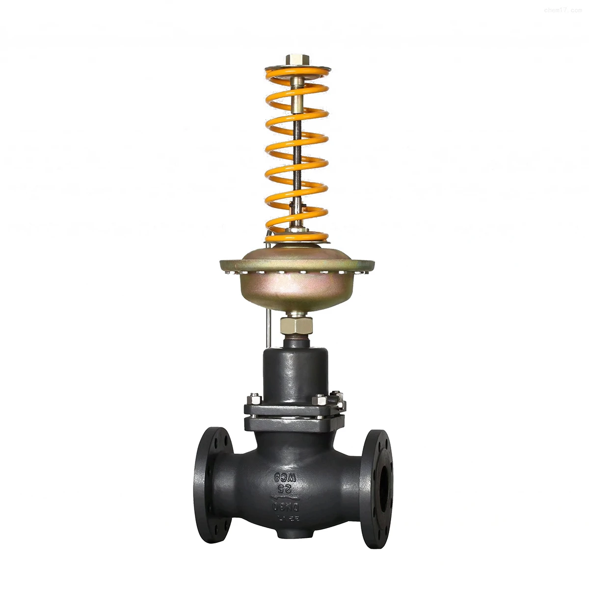 Self Operated Pressure Regulating Valve