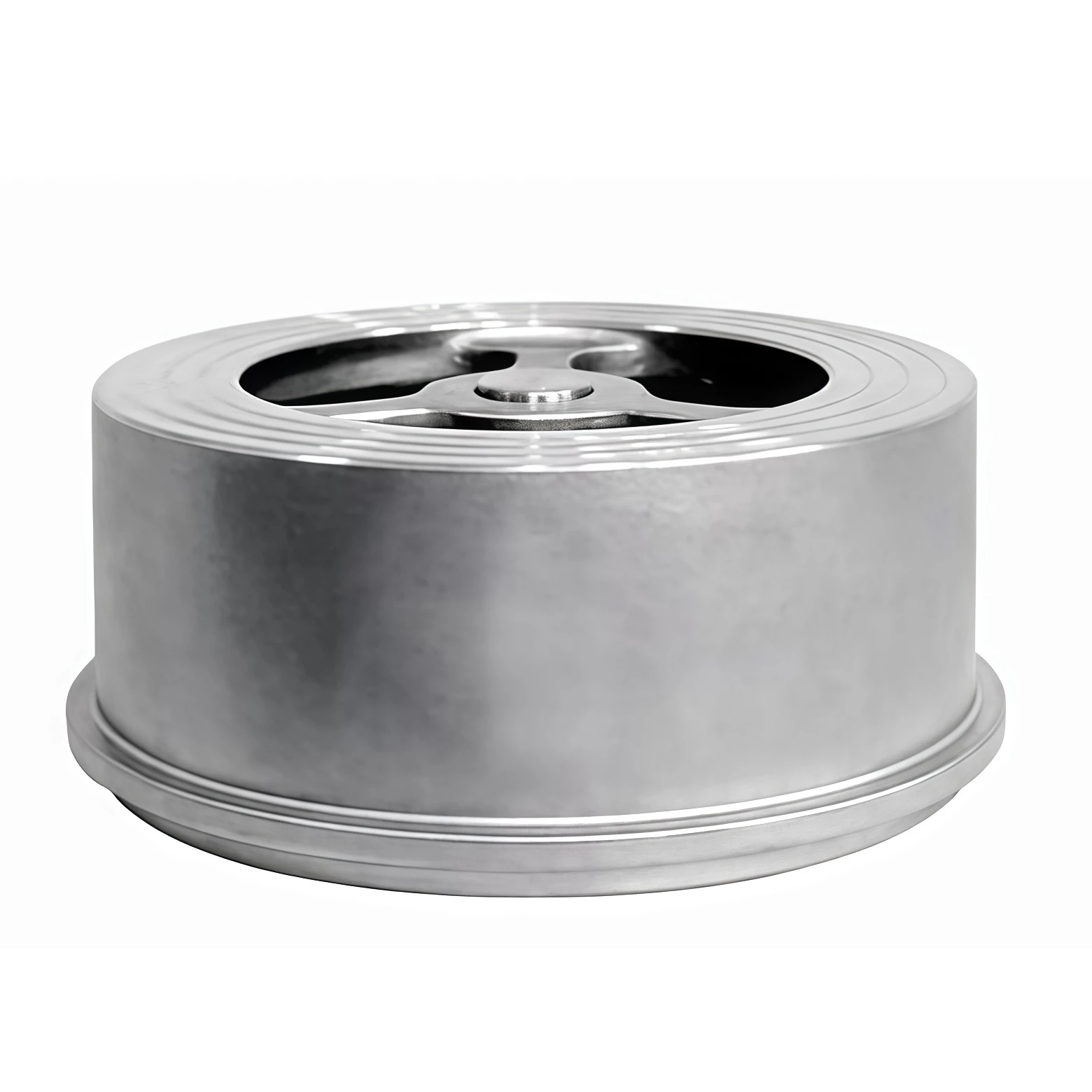 Wafer check valve