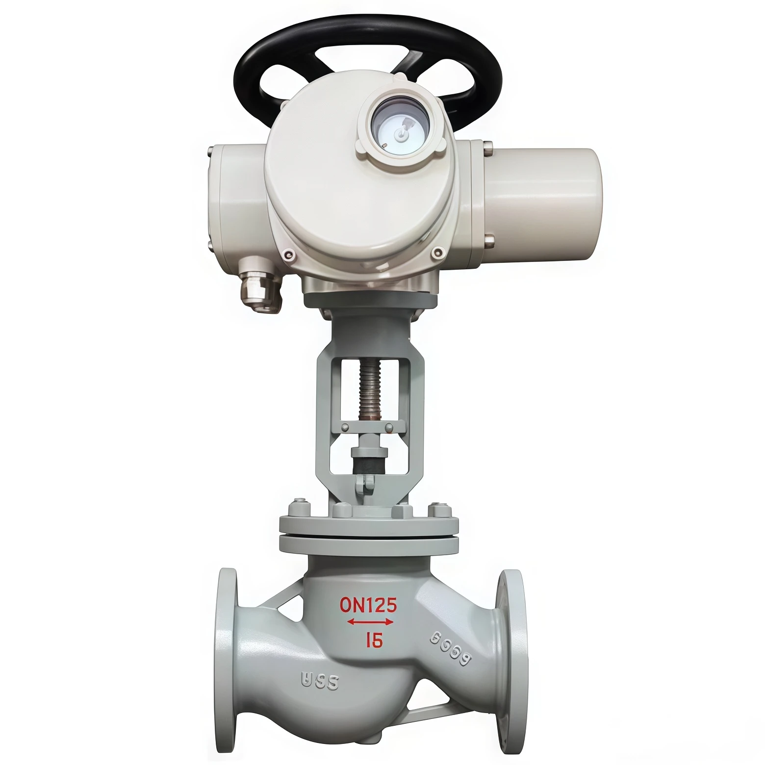 Electric globe valve