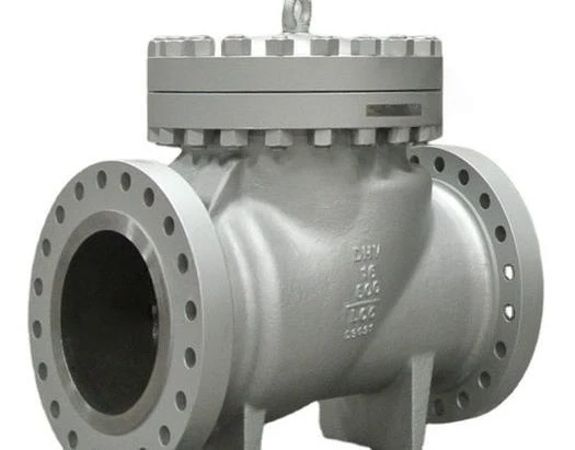 Wear ceramics slagging check valve
