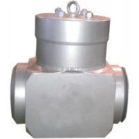 Power station check valve