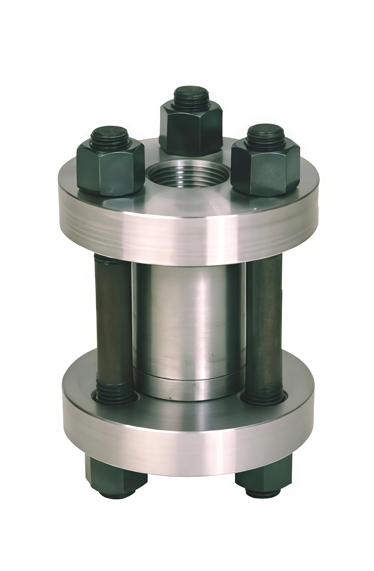 Wafer high check valve