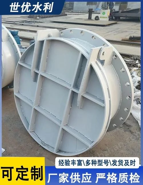 Super large diameter check valve