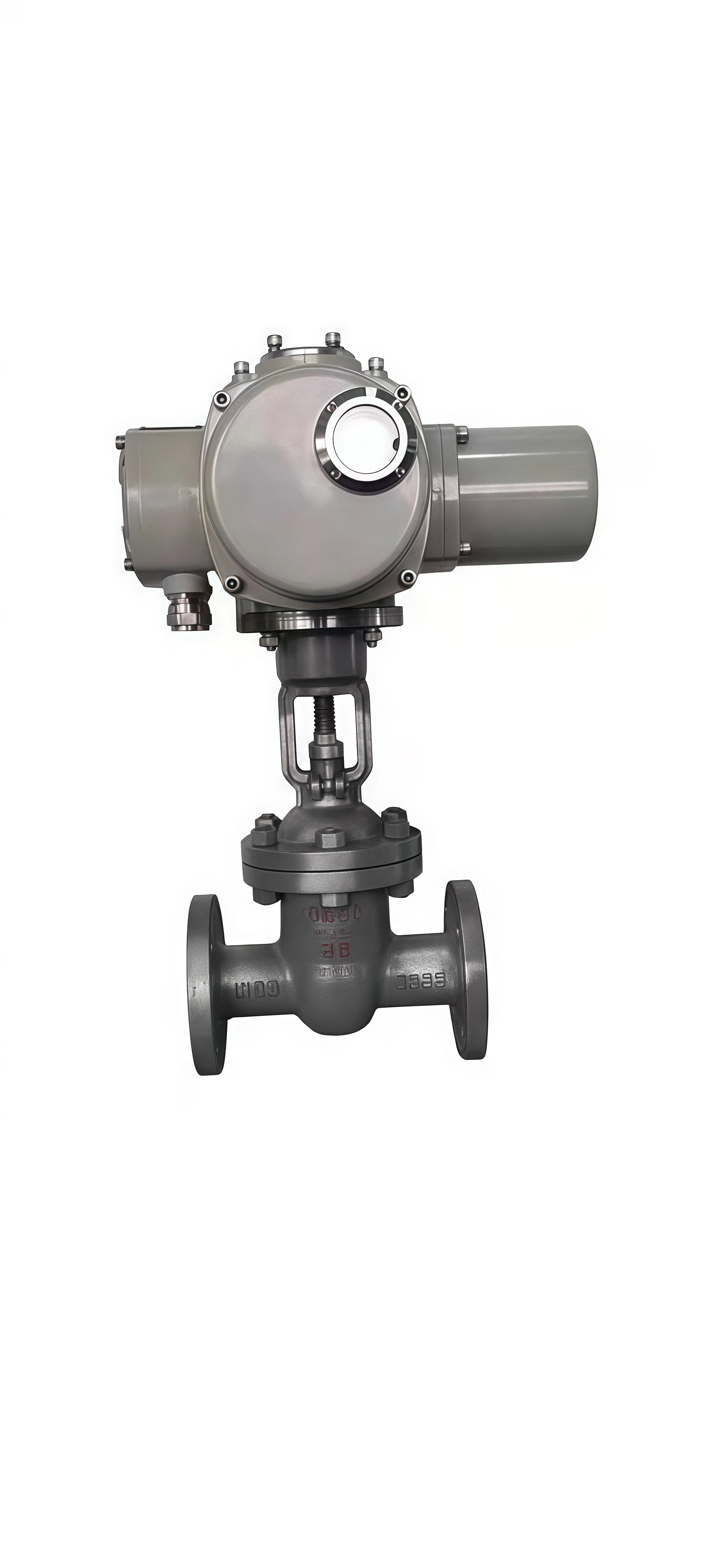 Electric globe valve