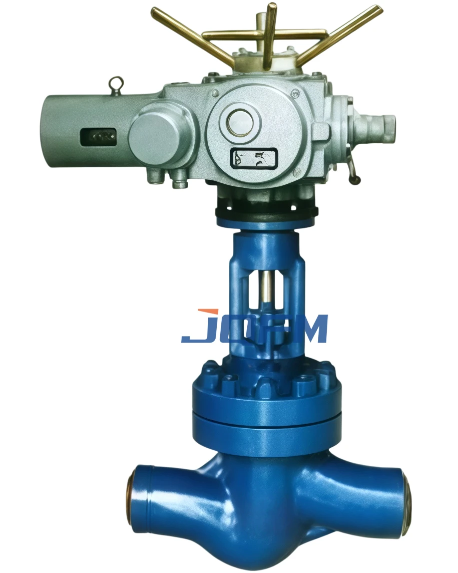 Power station globe valve
