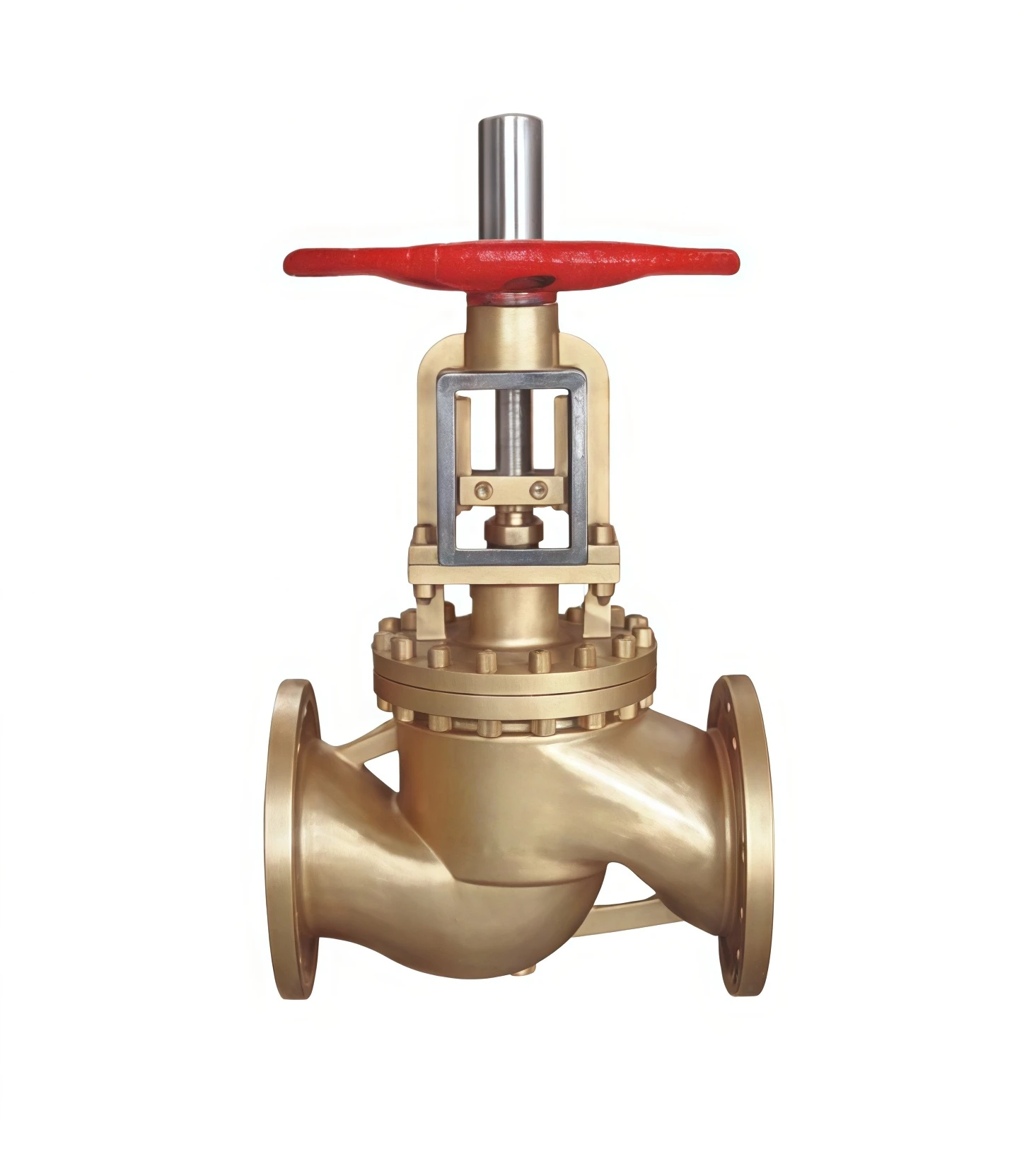 Oxygen globe valve