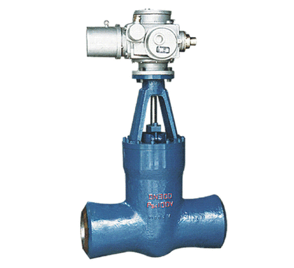 Power station globe valve