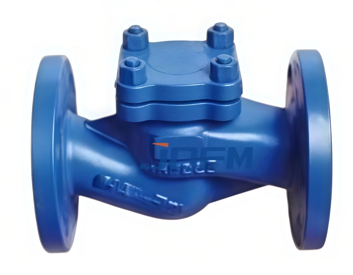 German standard lift check valve