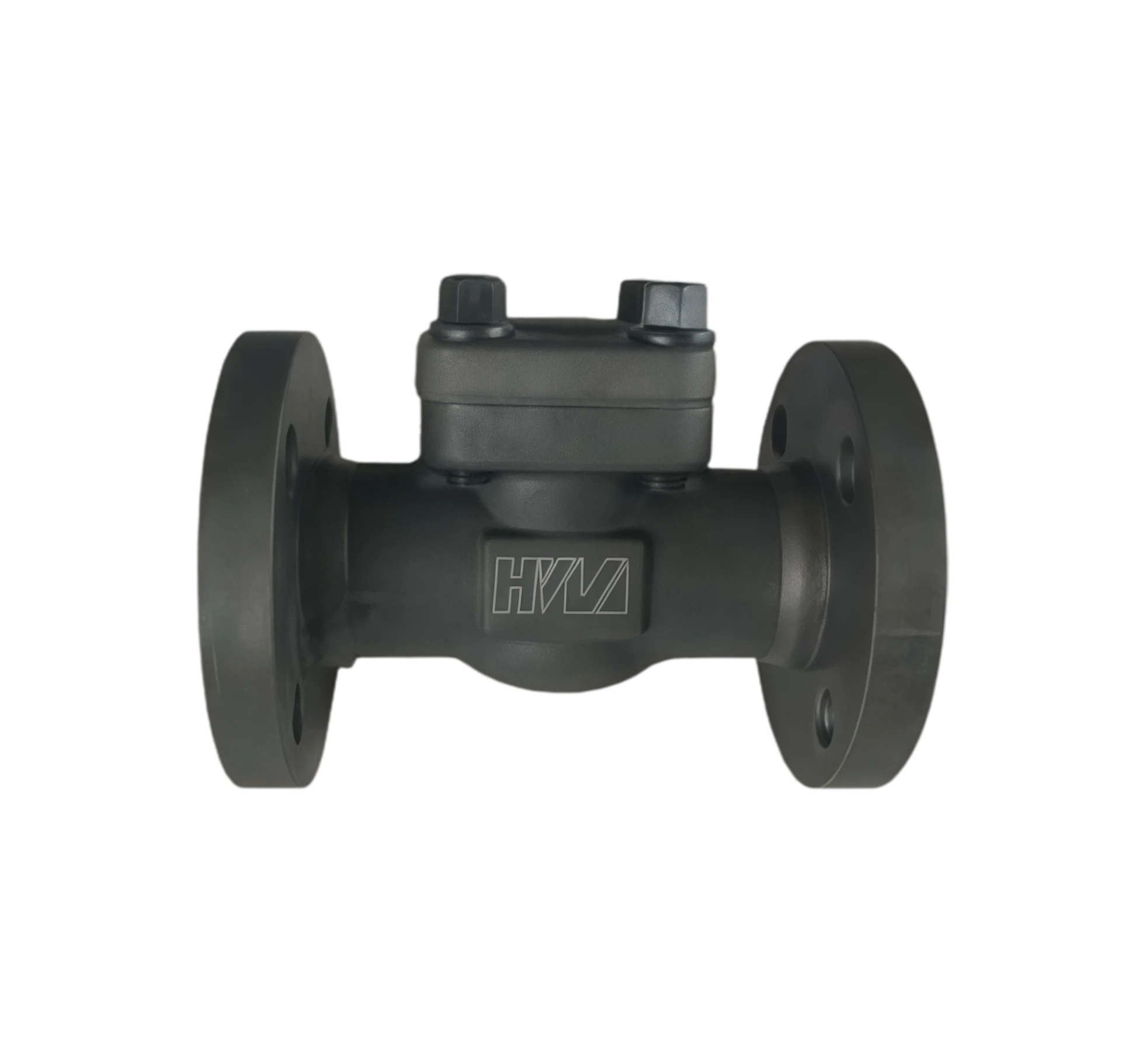 Swing check valve