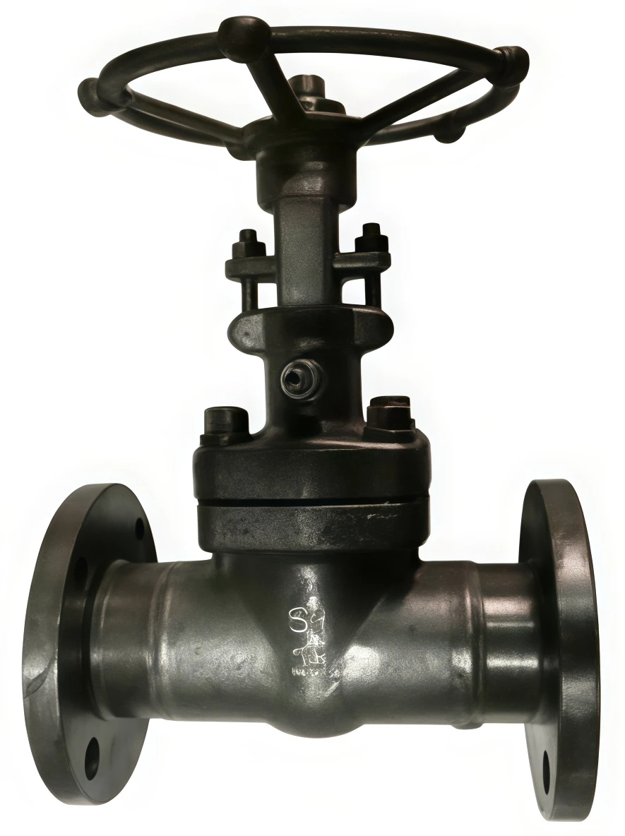 Vacuum valve