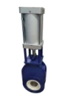 Vacuum isolation valve valve