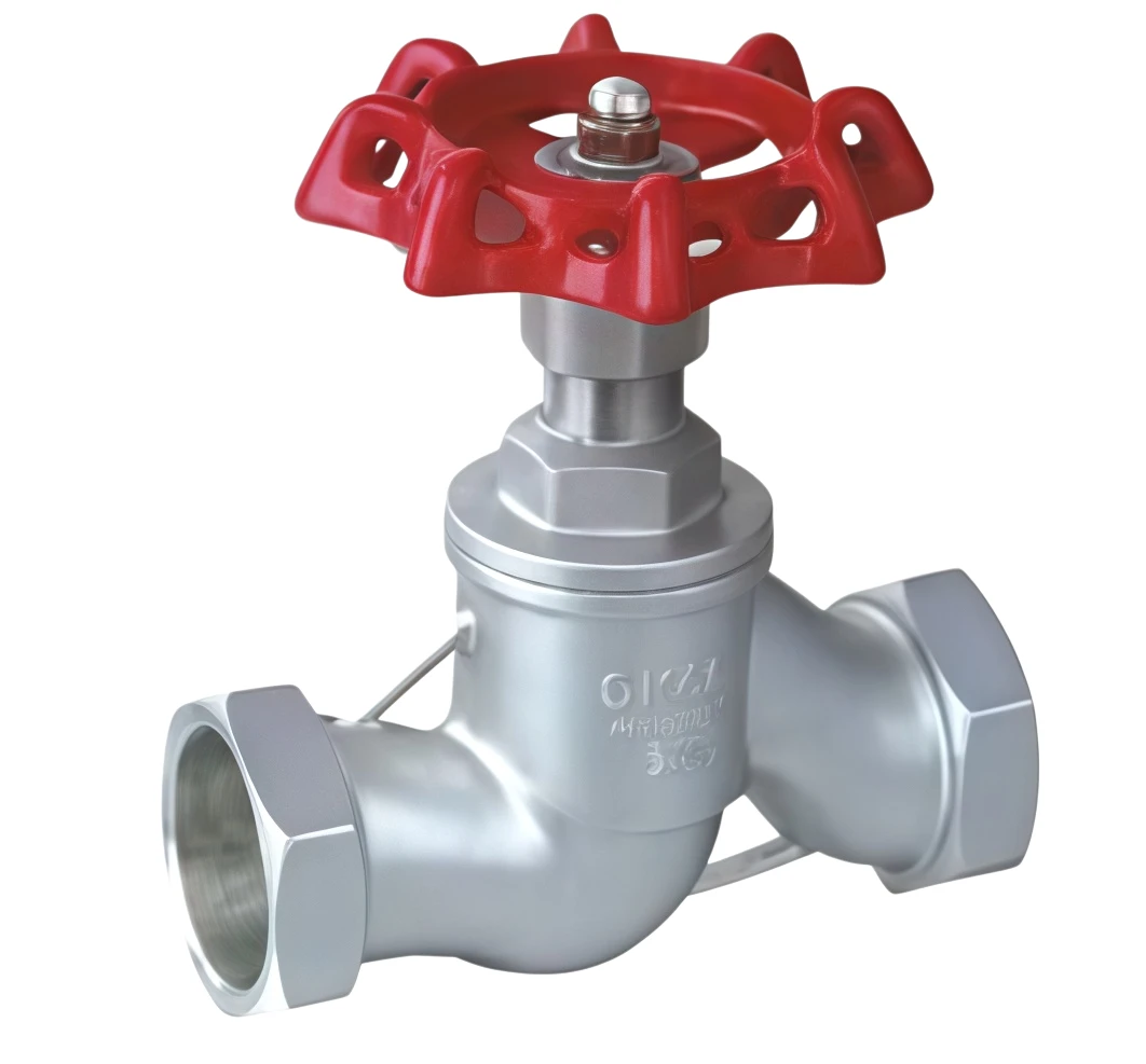 Stainless steel threaded globe valve