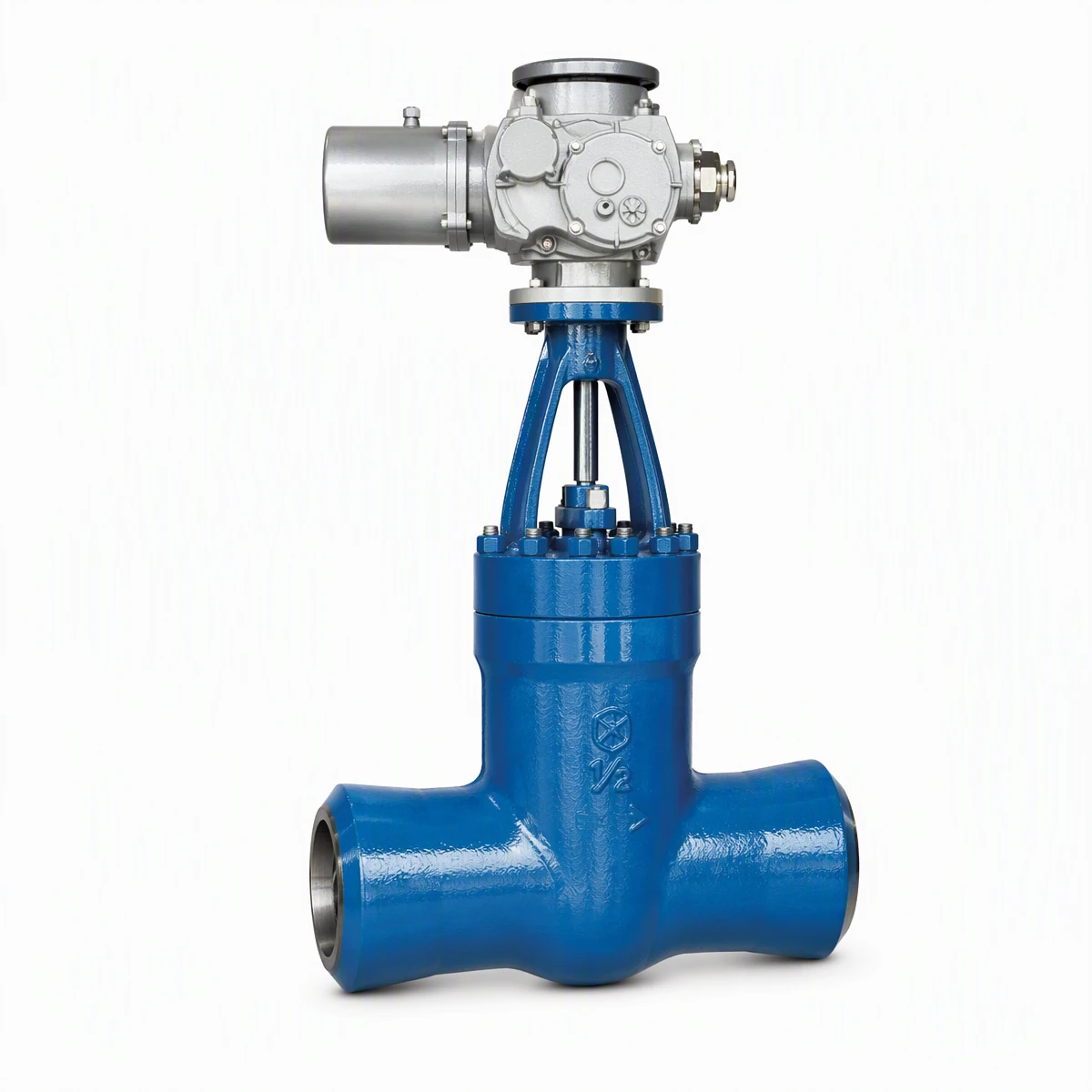 Power station globe valve