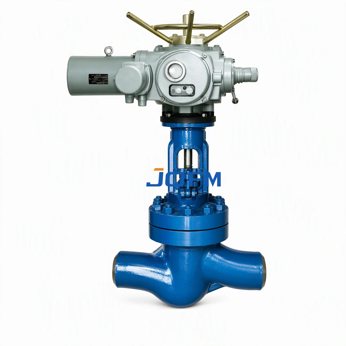 Power station globe valve